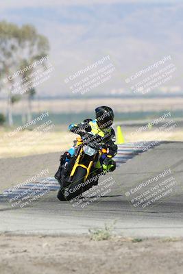 media/Jun-30-2024-TrackDaz (Sun) [[975061b0f9]]/Group C/Grapevine (940am)/